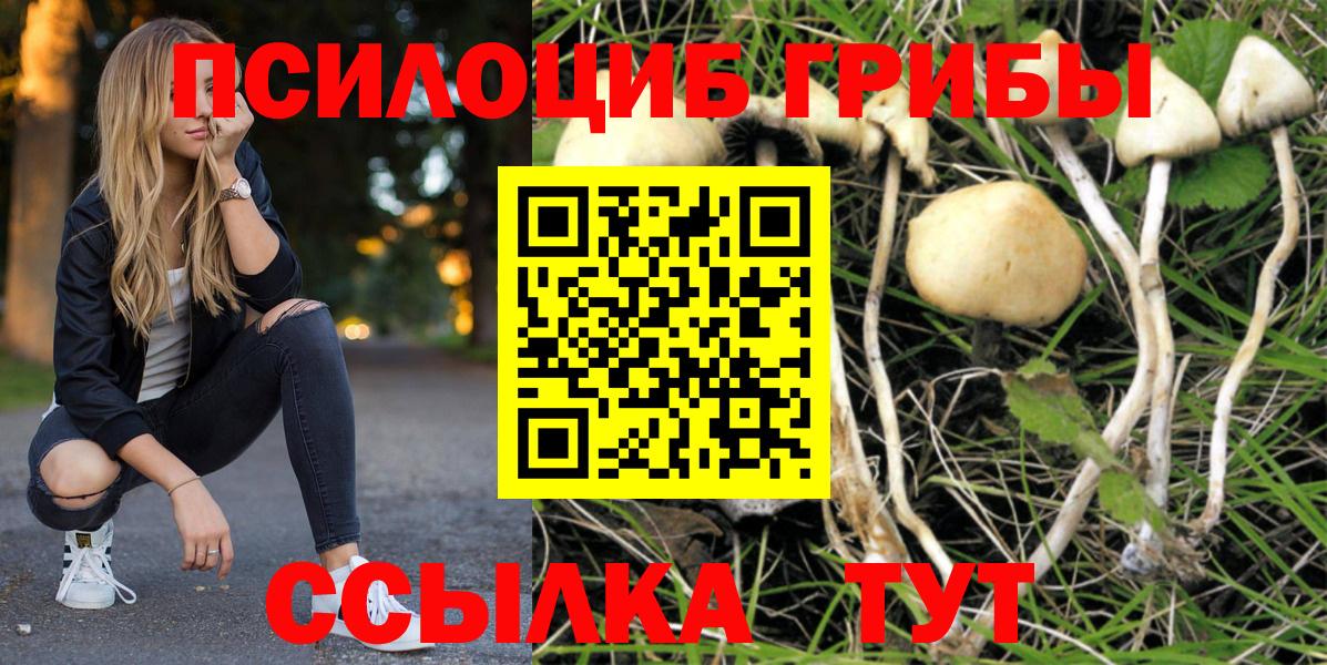 Скопин  Псилоцибиновые грибы мицелий  наркота  Вход с VPN 
