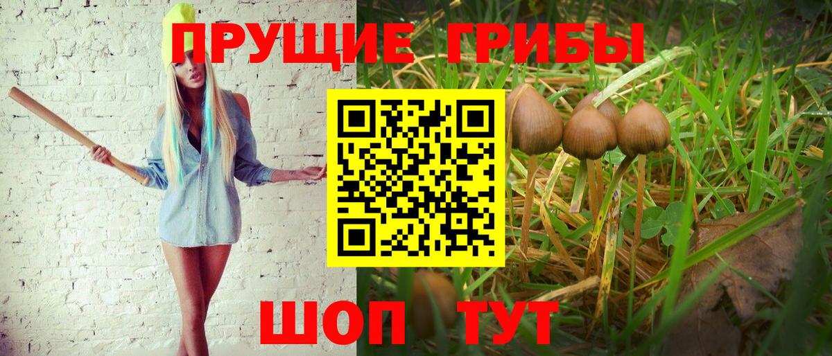 Псилоцибиновые грибы мицелий Скопин
